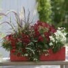 Collection Jardinière Rouge - 5 Variétés D'annuelles